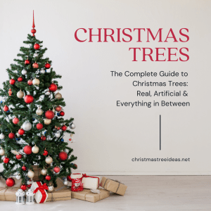 Everything you want to know about Christmas Trees: the complete guide The complete guide to Christmas Trees