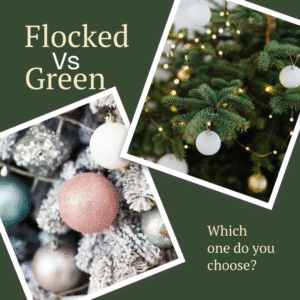 Flocked vs Green, which Christmas tree suits you best?